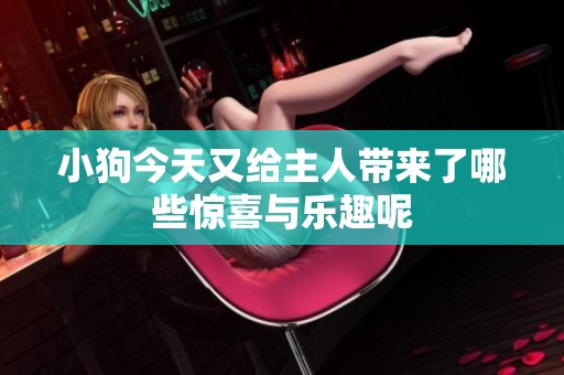 小狗今天又给主人带来了哪些惊喜与乐趣呢