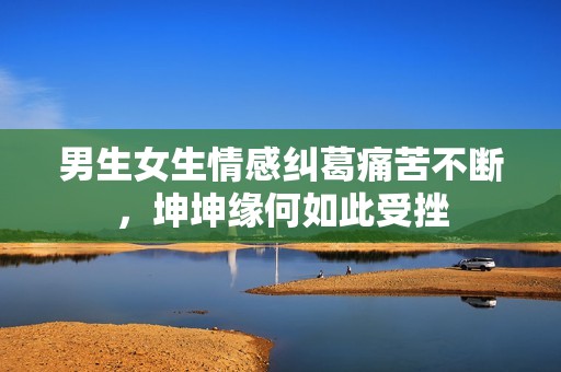 男生女生情感纠葛痛苦不断，坤坤缘何如此受挫