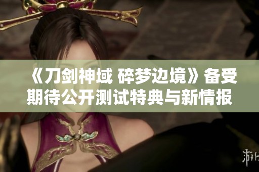 《刀剑神域 碎梦边境》备受期待公开测试特典与新情报揭晓