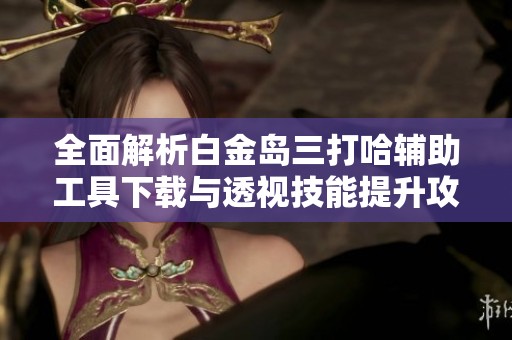全面解析白金岛三打哈辅助工具下载与透视技能提升攻略