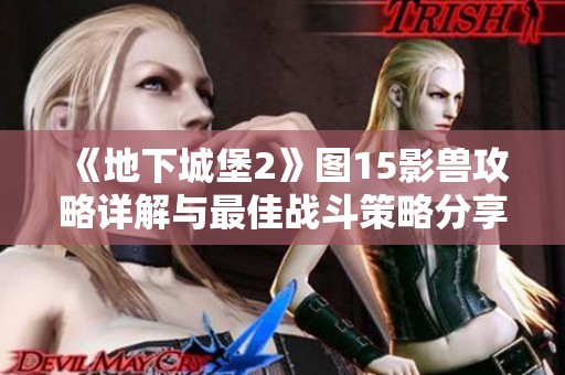 《地下城堡2》图15影兽攻略详解与最佳战斗策略分享