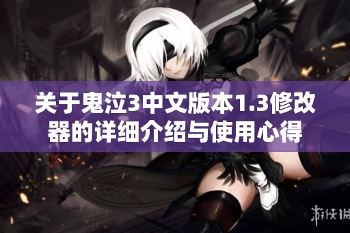 关于鬼泣3中文版本1.3修改器的详细介绍与使用心得