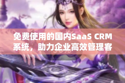 免费使用的国内SaaS CRM系统，助力企业高效管理客户关系