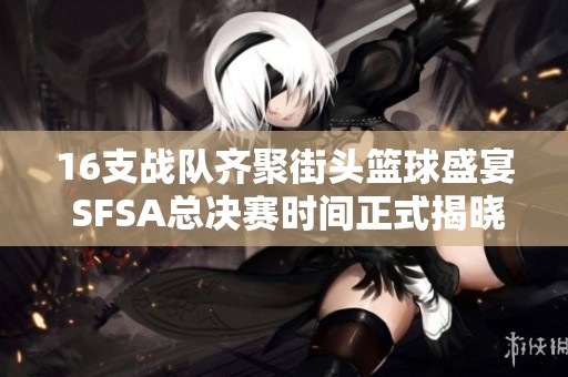 16支战队齐聚街头篮球盛宴 SFSA总决赛时间正式揭晓