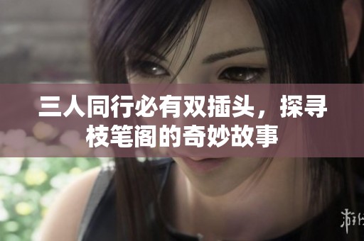 三人同行必有双插头，探寻枝笔阁的奇妙故事