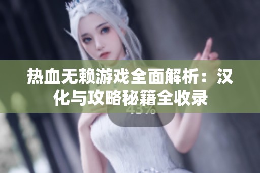 热血无赖游戏全面解析：汉化与攻略秘籍全收录