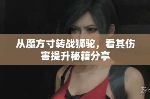 从魔方寸转战狮驼，看其伤害提升秘籍分享