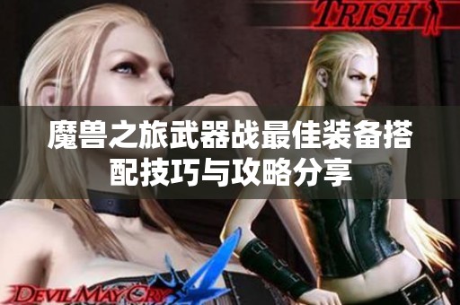 魔兽之旅武器战最佳装备搭配技巧与攻略分享