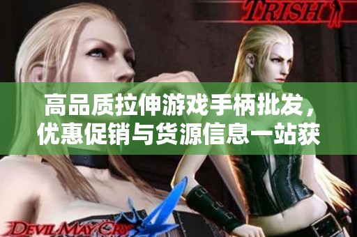 高品质拉伸游戏手柄批发，优惠促销与货源信息一站获取