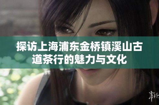 探访上海浦东金桥镇溪山古道茶行的魅力与文化