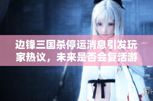 边锋三国杀停运消息引发玩家热议，未来是否会复活游戏未卜