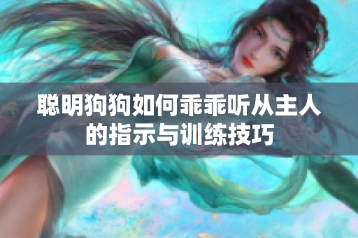聪明狗狗如何乖乖听从主人的指示与训练技巧