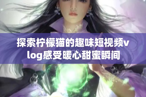 探索柠檬猫的趣味短视频vlog感受暖心甜蜜瞬间