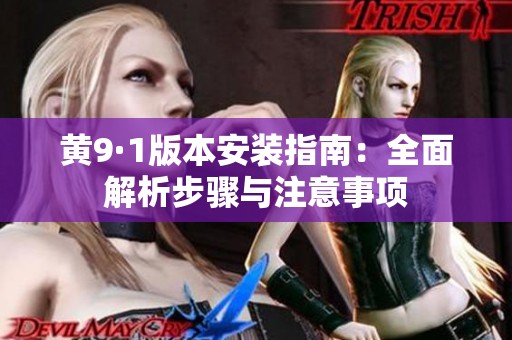 黄9·1版本安装指南：全面解析步骤与注意事项