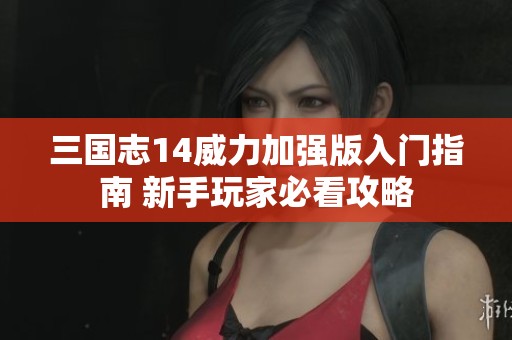 三国志14威力加强版入门指南 新手玩家必看攻略