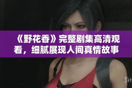 《野花香》完整剧集高清观看，细腻展现人间真情故事
