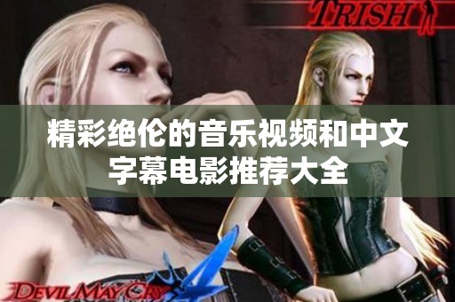 精彩绝伦的音乐视频和中文字幕电影推荐大全