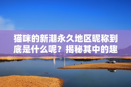 猫咪的新潮永久地区昵称到底是什么呢？揭秘其中的趣味和创意！