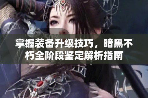掌握装备升级技巧，暗黑不朽全阶段鉴定解析指南