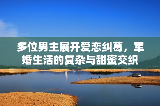 多位男主展开爱恋纠葛，军婚生活的复杂与甜蜜交织