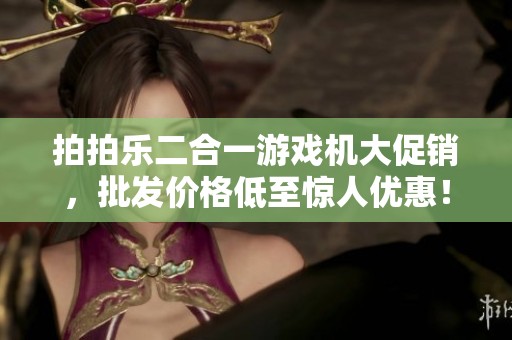 拍拍乐二合一游戏机大促销，批发价格低至惊人优惠！
