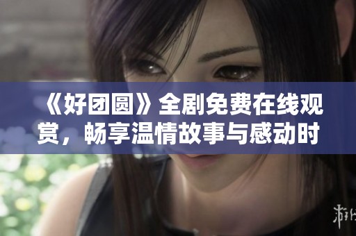 《好团圆》全剧免费在线观赏，畅享温情故事与感动时刻