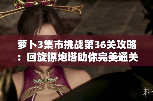 萝卜3集市挑战第36关攻略：回旋镖炮塔助你完美通关秘笈