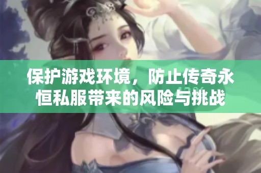 保护游戏环境，防止传奇永恒私服带来的风险与挑战