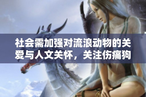 社会需加强对流浪动物的关爱与人文关怀，关注伤痛狗狗问题