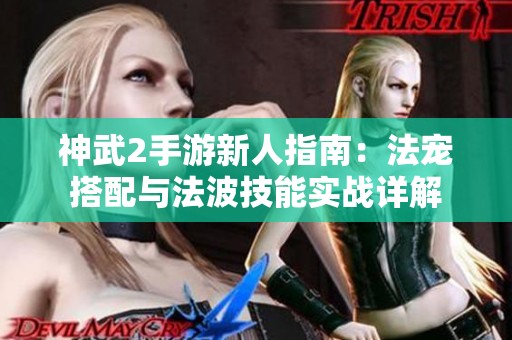 神武2手游新人指南：法宠搭配与法波技能实战详解