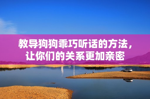 教导狗狗乖巧听话的方法，让你们的关系更加亲密