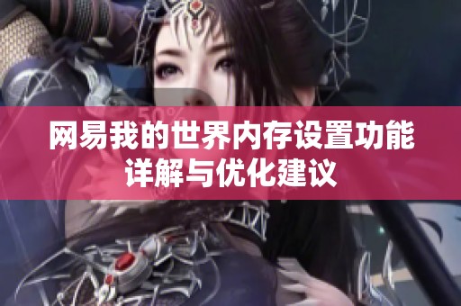 网易我的世界内存设置功能详解与优化建议
