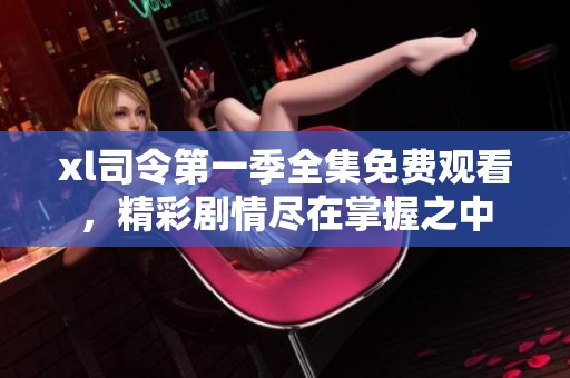 xl司令第一季全集免费观看，精彩剧情尽在掌握之中