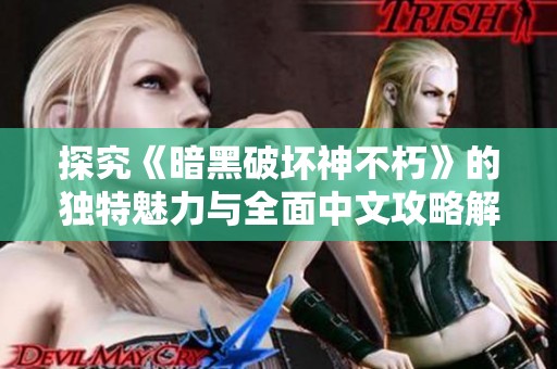 探究《暗黑破坏神不朽》的独特魅力与全面中文攻略解析