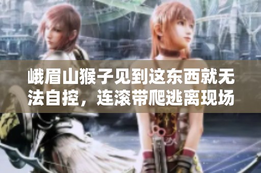 峨眉山猴子见到这东西就无法自控，连滚带爬逃离现场