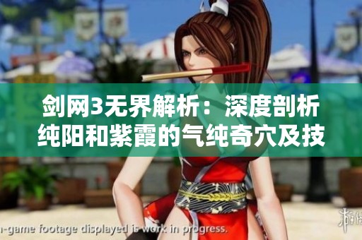 剑网3无界解析：深度剖析纯阳和紫霞的气纯奇穴及技能循环技巧