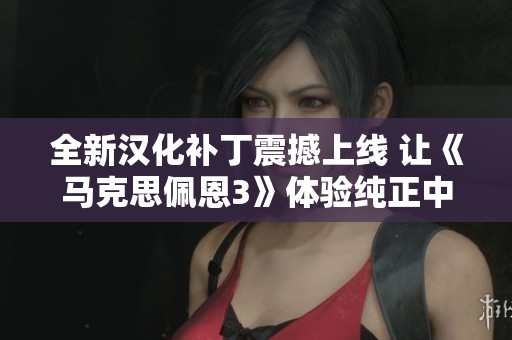 全新汉化补丁震撼上线 让《马克思佩恩3》体验纯正中文乐趣