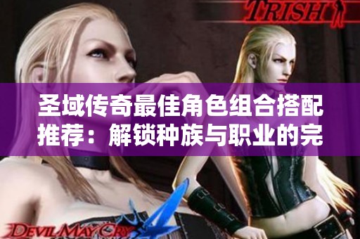圣域传奇最佳角色组合搭配推荐：解锁种族与职业的完美配对