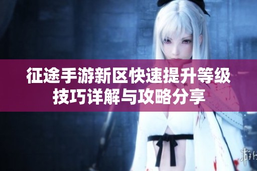 征途手游新区快速提升等级技巧详解与攻略分享