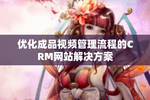 优化成品视频管理流程的CRM网站解决方案
