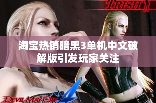 淘宝热销暗黑3单机中文破解版引发玩家关注
