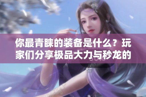你最青睐的装备是什么？玩家们分享极品大力与秒龙的优缺点