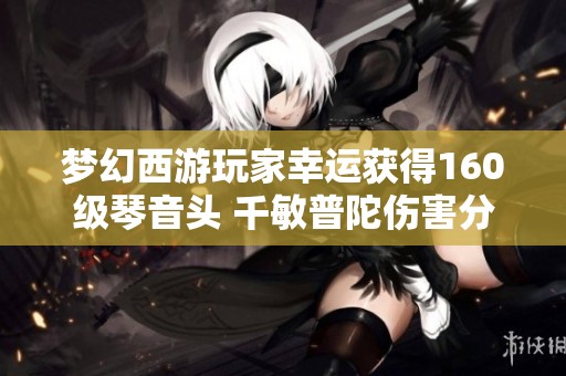 梦幻西游玩家幸运获得160级琴音头 千敏普陀伤害分析与探讨