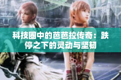 科技圈中的芭芭拉传奇：跌停之下的灵动与坚韧