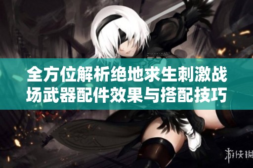 全方位解析绝地求生刺激战场武器配件效果与搭配技巧