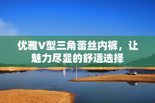 优雅V型三角蕾丝内裤，让魅力尽显的舒适选择