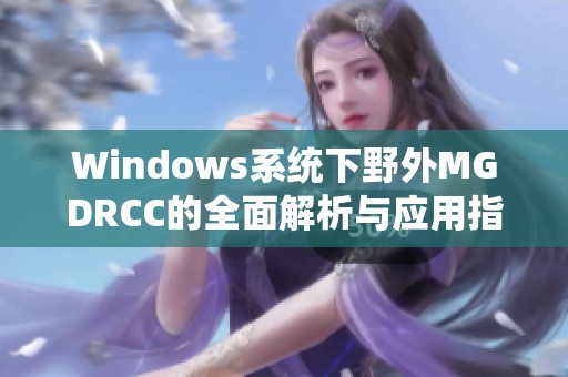 Windows系统下野外MGDRCC的全面解析与应用指南