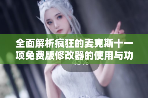 全面解析疯狂的麦克斯十一项免费版修改器的使用与功能