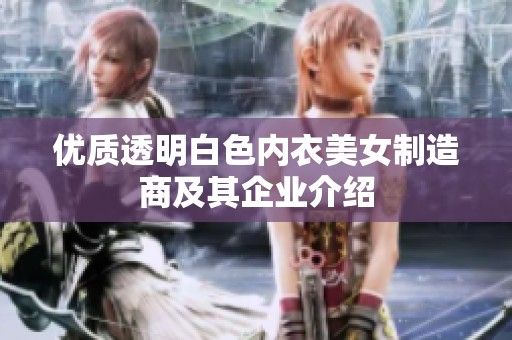 优质透明白色内衣美女制造商及其企业介绍
