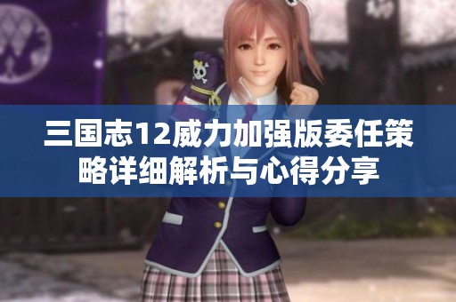 三国志12威力加强版委任策略详细解析与心得分享